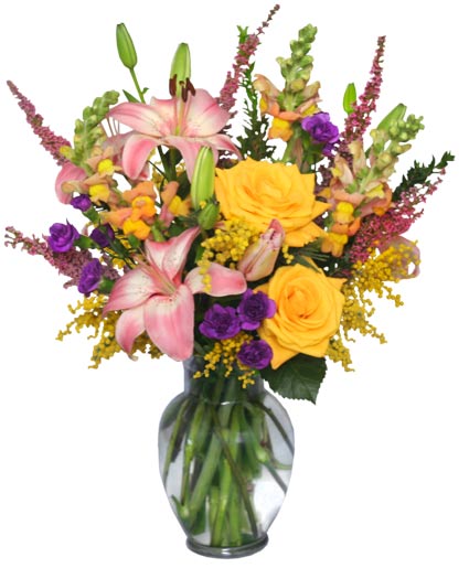 DAYDREAMS Summer Flowers