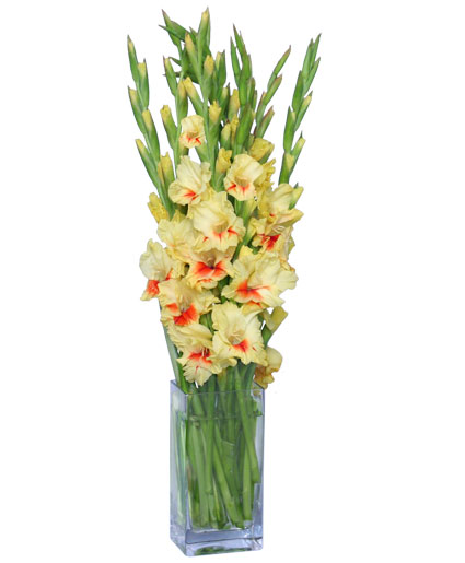 A DAY IN THE SUN Flower Arrangement