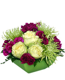 LIME GREEN TOUCH OF CLASS Flower Arrangement