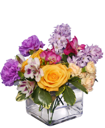 EARLY SPRING FLING  Flower Arrangement