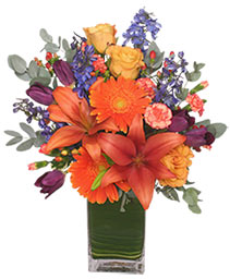 GARDEN PARTY Arrangement