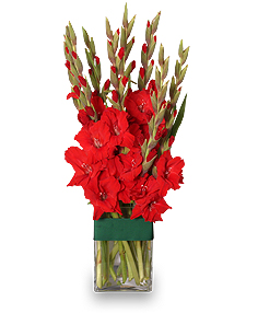 HOLIDAY FLAME Flower Arrangement