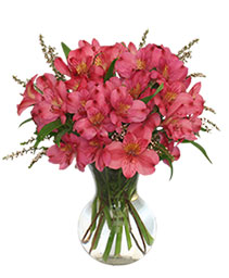 PRETTY LADY Bouquet of Flowers