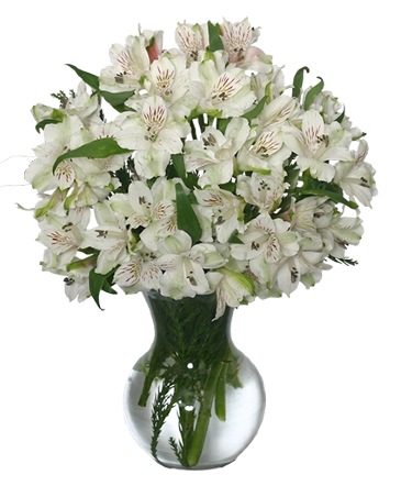 FLEECY WHITE Flower Arrangement in Newark, OH | JOHN EDWARD PRICE FLOWERS & GIFTS