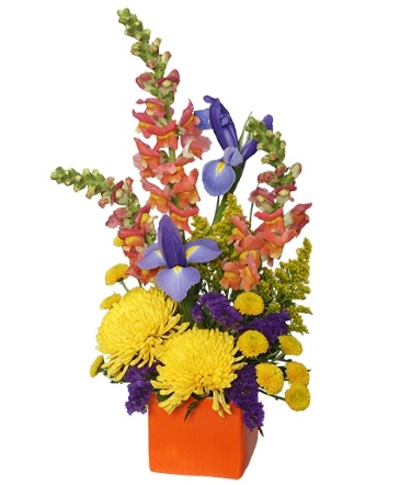 BEST BOSS BOUQUET Flowers for Bosses Day in Yankton, SD | Pied Piper Flowers & Gifts