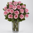 Peachy ,Pinks roses