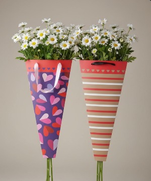 Daisy Bag  