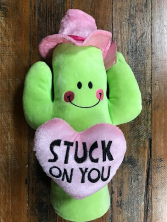 Valentine Plush Cactus 
