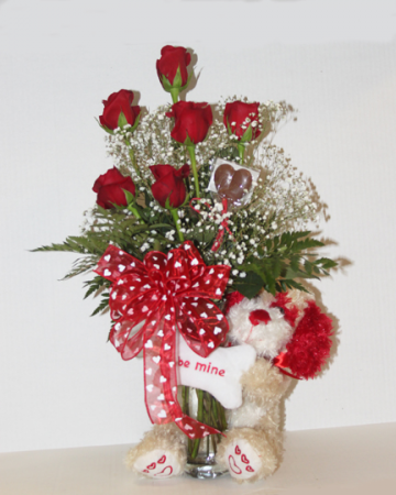 Valentine Puppy 1/2 dozen roses with plush puppy