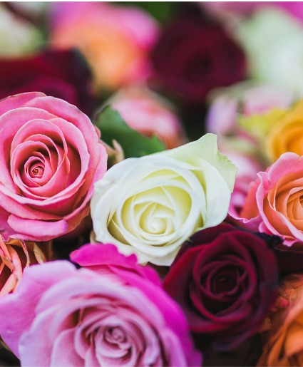 Valentine's Day Rose Special vased roses