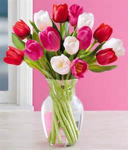 Valentine Tulips 