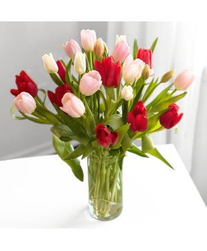 Love Tulips Tulips