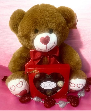 Bear with Truffles 
