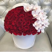 Lady Charlotte's Pearls 