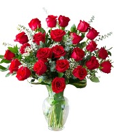  Two Dozen Long-Stem Roses  Long Stem Red Roses