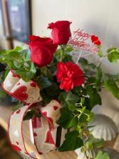 Valentine's Day Plant & Flowers Green plant & Fresh flowers