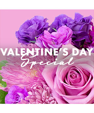 Valentine's Day Special Designer's Choice