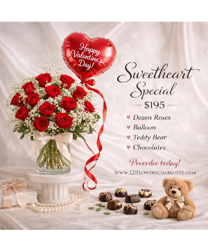 Valentine’s Day Surprise! 