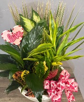 Valentine’s Dish Garden 