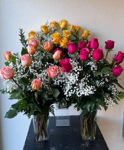 Dozen Roses- Colors! 