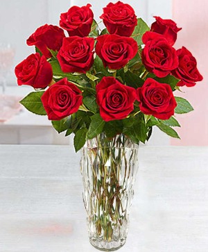  DOZEN RED ROSES  