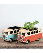 Van Planter Planter