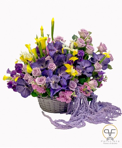 Vanda Orchids Garden  
