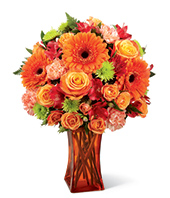 Vibrant and Bright 
