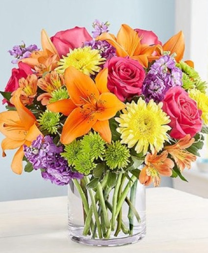 Vibrant Beauty 