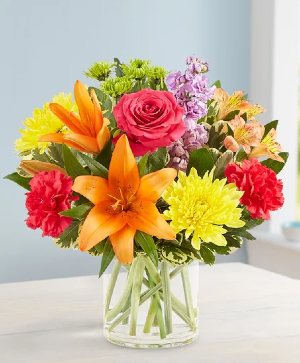 Vibrant Beauty fresh