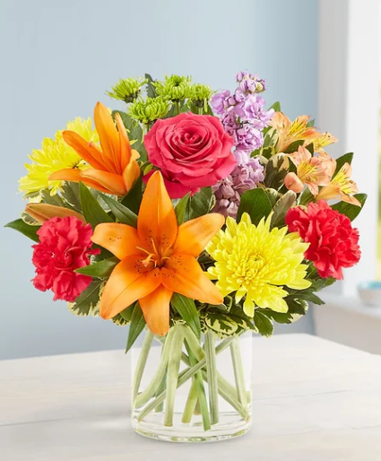 Vibrant Beauty fresh