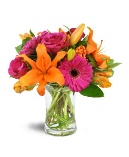 Vibrant Blooms  