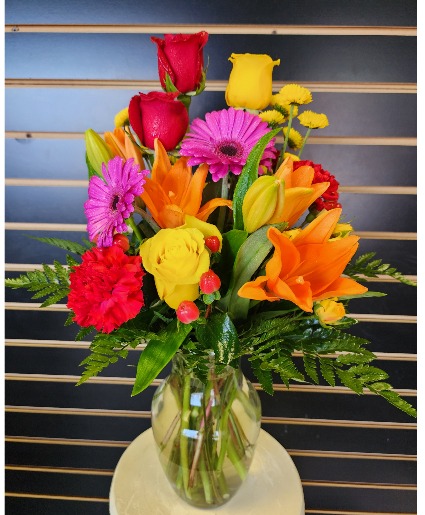 Vibrant Colors 