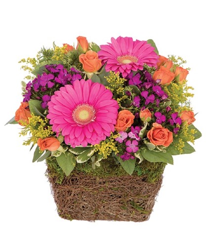 Vibrant Garden Basket Any Occasion