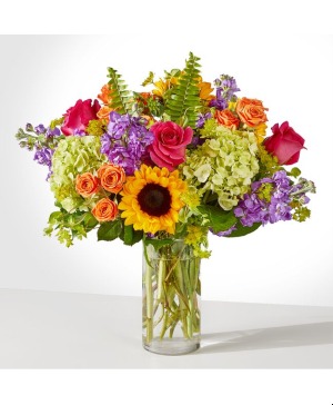 Vibrant Greetings 