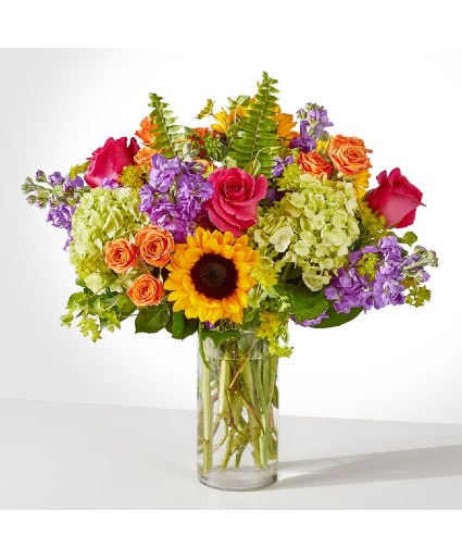 Vibrant Greetings 
