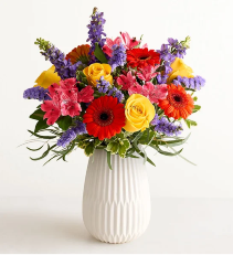 Vibrant Harmony   26-52 