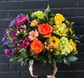 Vibrant Hues 