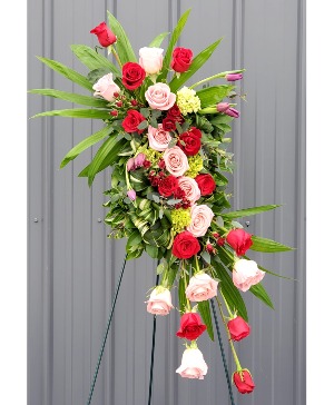 Vibrant Life  Standing Spray