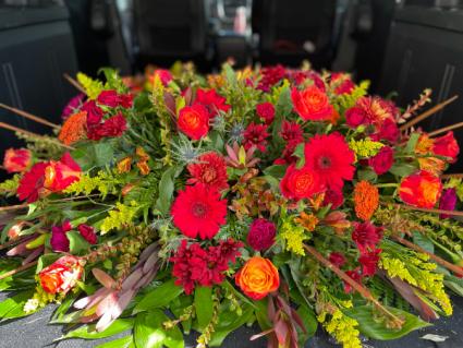 Vibrant Reds  