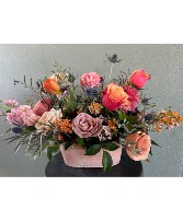Vibrant Terracotta 