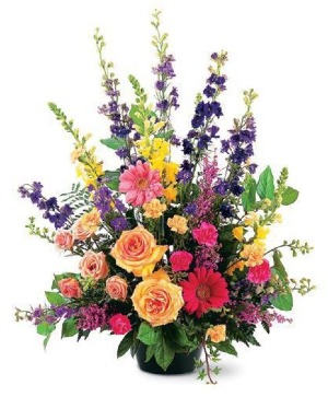 Vibrant Tribute  