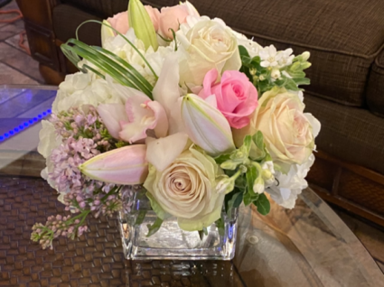 Victoria  Arrangement