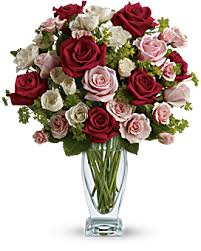 Victorian Rose Roses