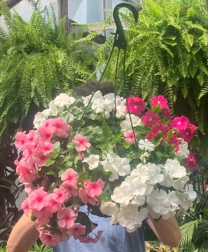Vinca mixed Hanging Basket 1 for $35, 2 for $60