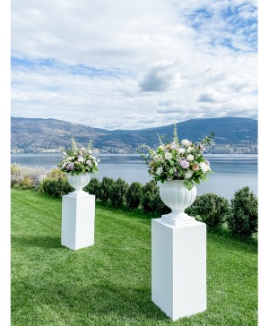 Vines & Vows Vineyard 