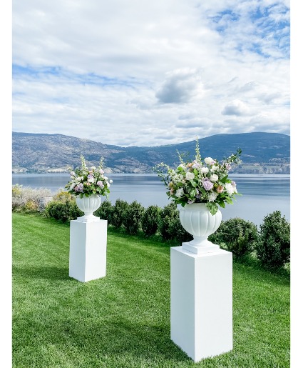 Vines & Vows Vineyard 