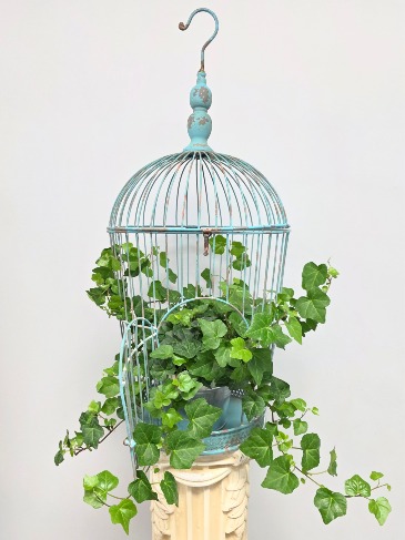 Vintage Metal Bird Cage with Ivy Plant  in Greensboro, NC | Sedgefield Florist & Gifts