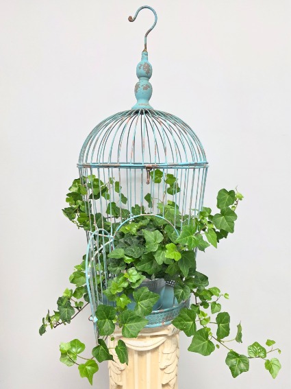 Vintage Metal Bird Cage with Ivy Plant 