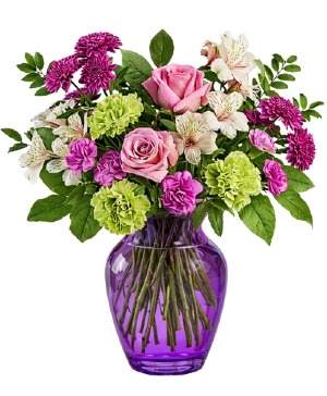 Violet Blush Delight 